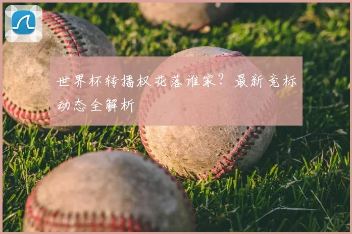 世界杯转播权花落谁家?最新竞标动态全解析